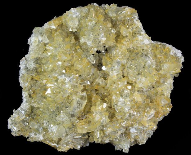 Plate Of Gemmy, Chisel Tipped Barite Crystals - Mexico #78137